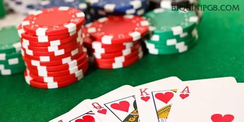 biquinipg Provedores Premium